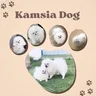 Logotipo Kamsia Dog
