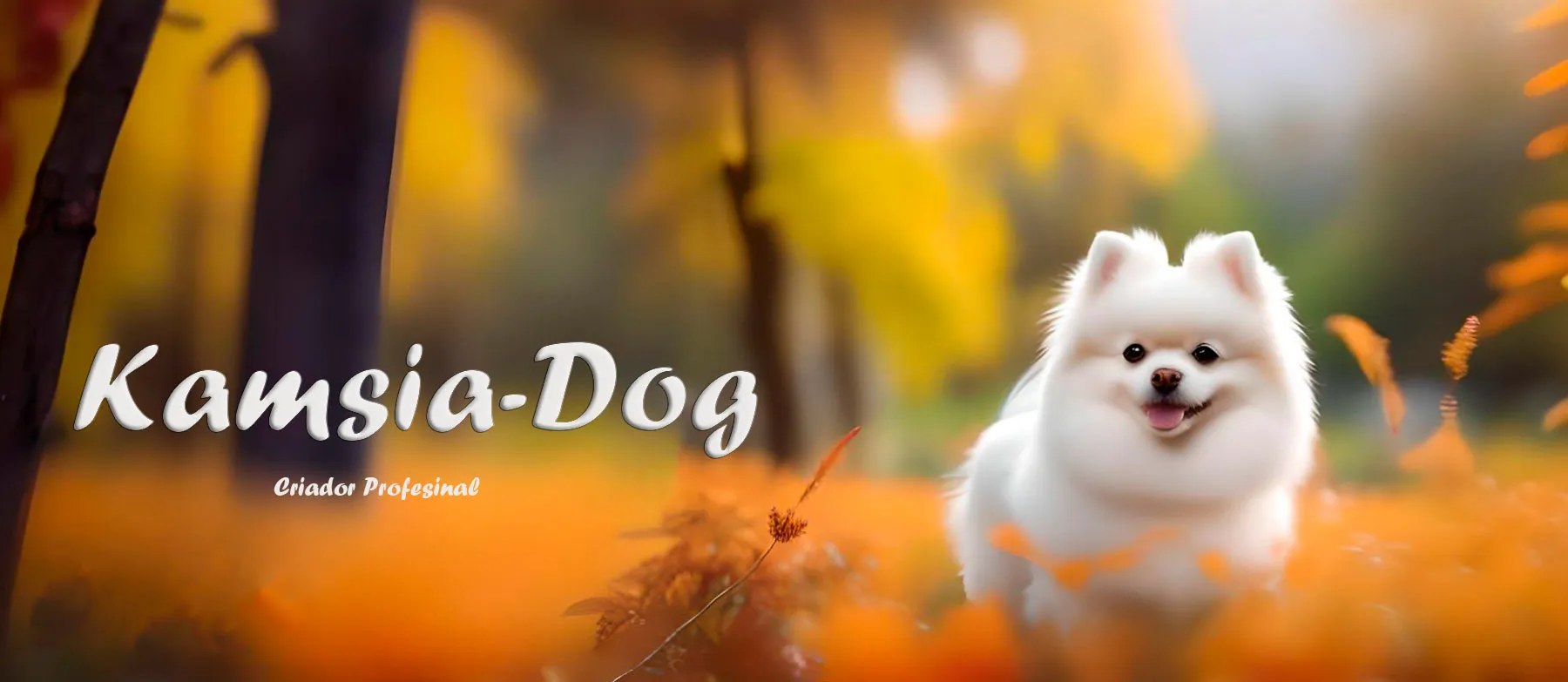 Cachorro Pomerania KamsiaDog - portada